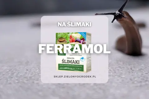 Ferrramol - fosforan żelaza na ślimaki. Granulat skutecznie zwalcza ślimaki, ulegając biodegradacji. Chroni rośliny.