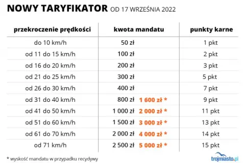 Ile osób w busie? Prawo jazdy, mandaty, kary. Jedź legalnie!