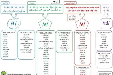 La pronunciación de -ed en inglés: /t/, /d/, /ɪd/. Aprende con ejemplos de verbos y adjetivos.
