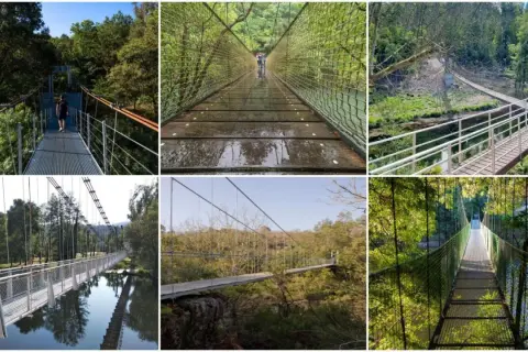 Collage de varios puentes colgantes en Galicia, algunos con personas cruzándolos, rodeados de exuberante vegetación y agua.