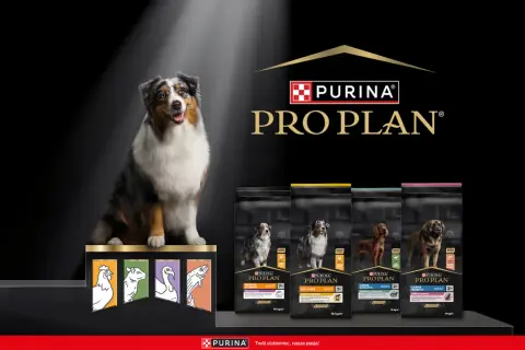 Purina dla psa: Od Pro Plan po Darling czy warto? Ekspert radzi