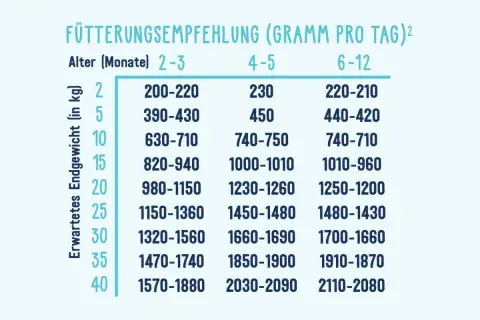 Futterempfehlung für Welpen: Tabelle zeigt die tägliche Futtermenge in Gramm basierend auf Alter und erwartetem Endgewicht.