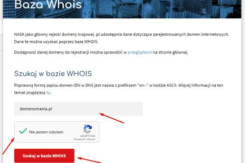 Moja domena: co to znaczy? Klucz do Twojej obecności online