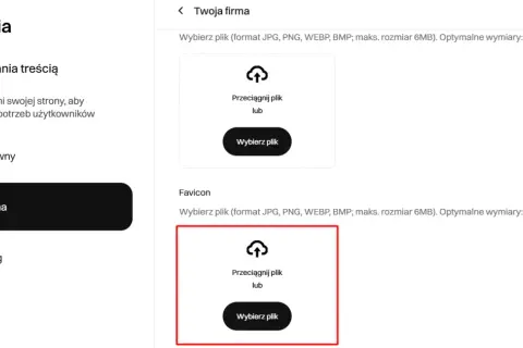 Ustawienia strony: wybór pliku dla ikony strony (favicon) i jej optymalny rozmiar.