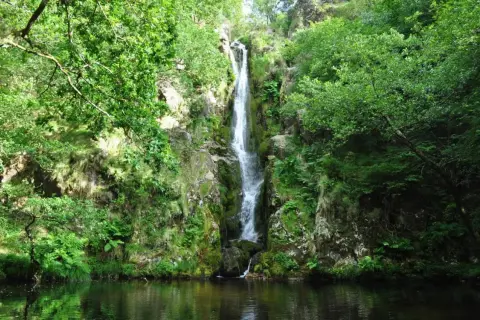 La cascada Viveiro desciende por rocas cubiertas de musgo y vegetación exuberante, desembocando en un estanque sereno.