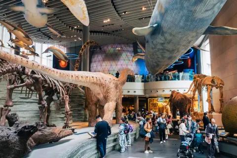 Wieloryby i dinozaury wiszą nad ludźmi zwiedzającymi muzea dla dzieci w Warszawie.