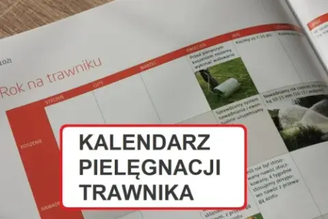 Trawnik idealny przez rok: Pełny kalendarz pielęgnacji w Polsce
