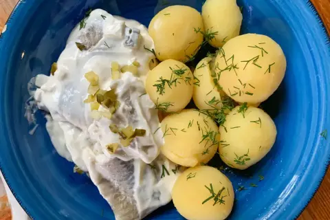 Śledź w śmietanie z koperkiem i młodymi ziemniakami. Prawdziwy smak Helu, jak z najlepszej restauracji na Helu!