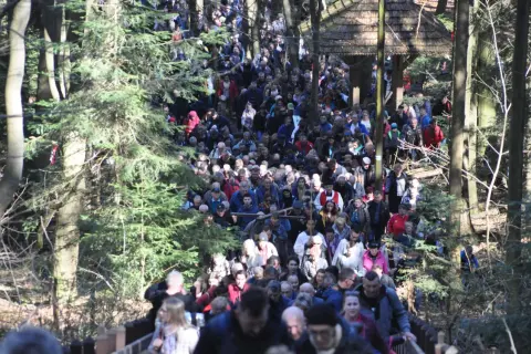 Tłum pielgrzymów podąża leśną ścieżką. Widać drewnianą wiatę i drzewa. Święty Krzyż trasa jest pełna ludzi.