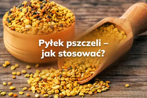 Pyłek pszczeli – jak stosować? Złote granulki w drewnianej miseczce i na łopatce, gotowe do spożycia.