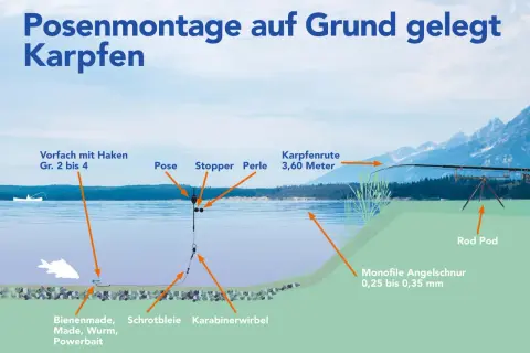 Illustration zeigt eine Posenmontage zum Grundangeln auf Karpfen. Die Montage beinhaltet Pose, Stopper, Perle, Schrotbleie und Köder wie Bienenmade.
