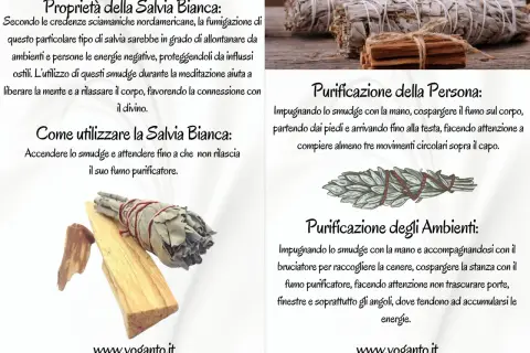 Salvia bianca e palo santo: come si usa per purificare persona e ambienti. Accendere lo smudge e diffondere il fumo per allontanare energie negative.
