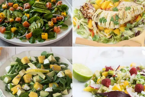 Cuatro ensaladas vibrantes: salmón y aguacate, calamar a la parrilla, queso y mango, y una refrescante ensalada de mango con frambuesas.