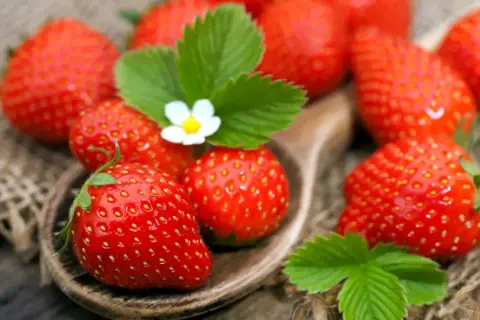 Ein Holzlöffel voller reifer Erdbeeren, mit grünen Blättern und einer kleinen weißen Blüte.