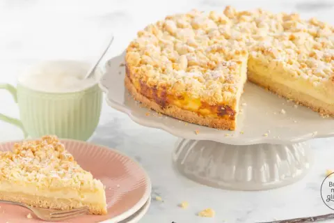 Ein saftiger Streuselkuchen mit Puddingfüllung, gebacken in einer Springform. Ein Stück auf einem rosa Teller wartet auf Genuss.
