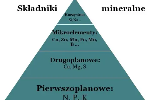 Minerały w których produkuje się nawozy fosforowe – kluczowe informacje i zagrożenia