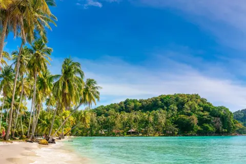 Rajska plaża z palmami i turkusową wodą, idealna na wakacje na Bali w sierpniu.