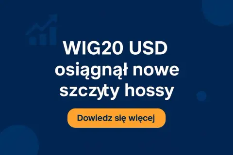WIG20 USD osiągnął nowe szczyty hossy. Dowiedz się więcej o tym, co to znaczy dla inwestorów.