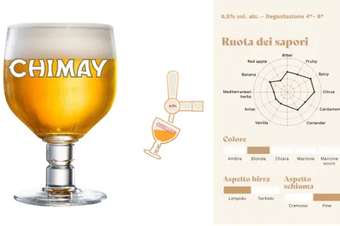 Un bicchiere di birra Chimay dorata, con schiuma bianca. Accanto, una ruota dei sapori e dettagli sul colore e aspetto, utili per le birra Chimay recensioni.