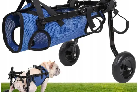 Najlepszy wózek dla psa Pet Gear: komfort i bezpieczeństwo w podróży