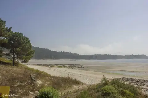 Amplia vista de la playa de Bornalle con arena dorada, vegetación y el mar al fondo bajo un cielo nublado.