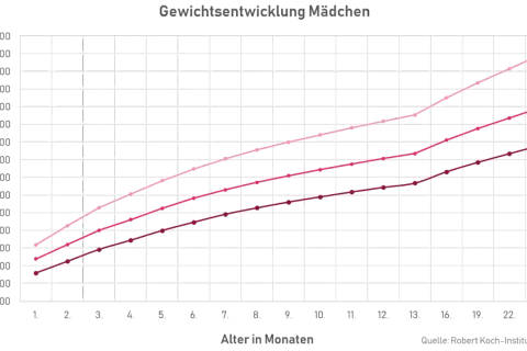 Diagramm zeigt die Gewichtszunahme von Mädchen im ersten Lebensjahr. Drei Linien (P3, P50, P97) stellen Perzentile dar.