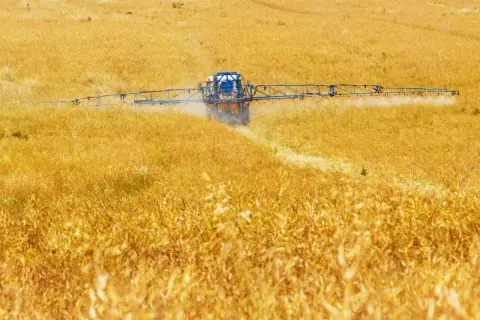 Trattore spruzza pesticidi su un campo dorato, contribuendo all'inquinamento agricolo.