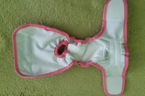 Pielucha dla psa DIY: Szybkie rozwiązania na cieczkę i nietrzymanie.