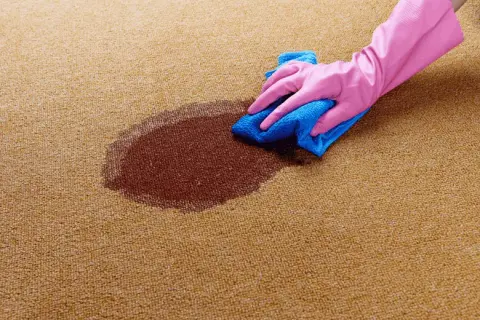 Vanish Gold Carpet Care: Instrukcja krok po kroku dla idealnego dywanu