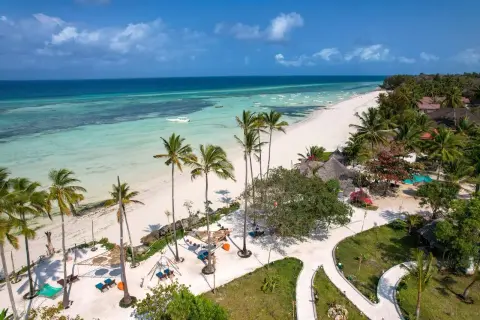 Rajska plaża z palmami i turkusową wodą. Idealne miejsce, by zapytać: kiedy najlepiej na Zanzibar?