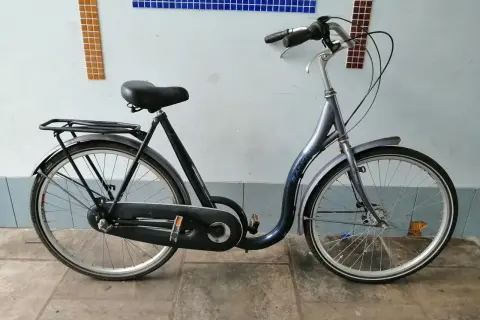 Donkerblauwe cruiser fiets met bagagedrager, geparkeerd voor een muur met mozaïek.
