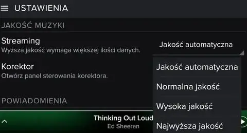 Ile internetu pobiera Spotify? Zaskakujące dane o zużyciu!