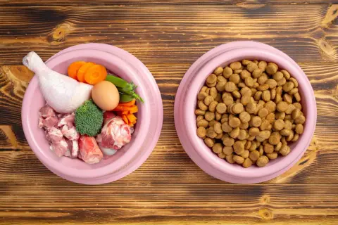 Dos tazones rosados sobre madera: uno con ingredientes para comida natural para perros (pollo, carne, huevo, zanahoria, brócoli) y otro con croquetas.