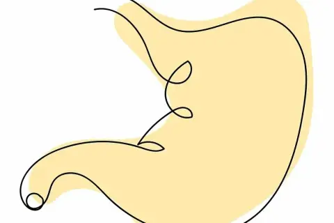 Een abstracte maag, met een dunne zwarte lijn die de vorm schetst. De gele vlek suggereert een gevoel van misselijk door overprikkeling.