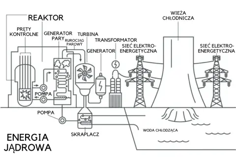 Schemat działania elektrowni jądrowej: reaktor, turbina, generator, transformator, wieża chłodnicza i sieć energetyczna. Energia jądrowa w pigułce.