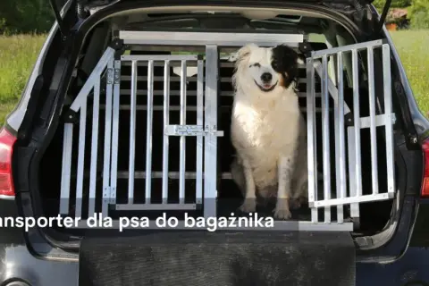 Najlepsze transportery dla psa w Zooplus - wybierz idealny model