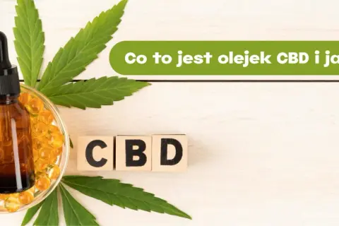Butelka z olejkiem CBD i kapsułki, liście konopi, kostki z napisem CBD. Dowiedz się, olejek CBD na co pomaga i jak działa.
