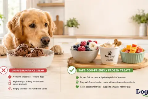 Golden retriever looks at chocolate ice cream, while dog-safe frozen treats are presented as a healthy alternative. Can dogs eat ice cream? This image shows why human ice cream is unsafe.