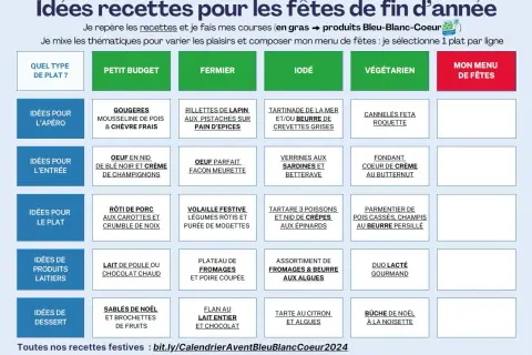 Tableau d'idées recettes pour les fêtes de fin d'année, proposant un menu diététique semaine par semaine, classé par type de plat et thématique.