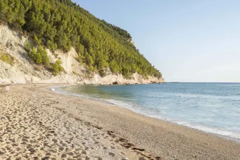 Spiaggia di sassi neri e sabbia dorata, con una scogliera ricoperta di pini che si tuffa nel mare azzurro.