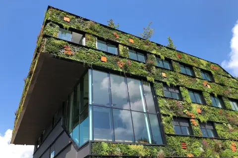 Edificio moderno ricoperto di vegetazione lussureggiante, un esempio di architettura con materiali ecosostenibili.