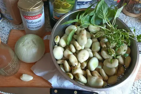 Kiedy jest sezon na bób? Nie przegap najlepszych smaków lata!