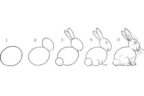 Secuencia de pasos para un conejo dibujo. Empieza con círculos y termina con un tierno conejo.