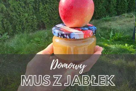 Domowy mus owocowy: Zrób idealny! Bez cukru, dla dzieci, na zimę