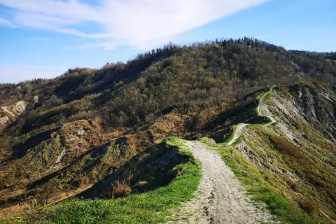 Sentiero tortuoso tra le colline forlivesi, un invito a scoprire panorami mozzafiato e la natura incontaminata.