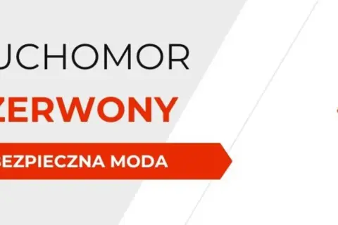 Rodzaje grzybów halucynogennych: Psylocybina vs Muchomor, prawo