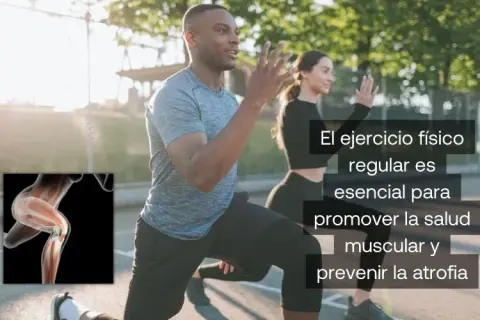 Atrofia muscular: ¿Qué es, cómo evitarla y recuperar tu fuerza?