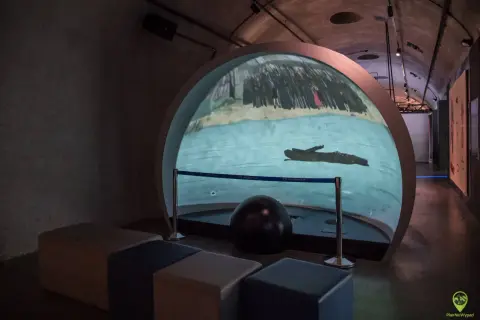 W muzeum wody Wrocław interaktywna projekcja przedstawia postać pływającą w wodzie na tle tłumu.