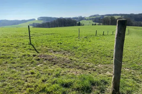 Grüne Hügel und ein sonniger Himmel laden zum **Naafbachtal wandern** ein. Ein Holzzaun markiert den Weg.