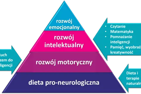 Piramida rozwoju: dieta, ruch, rozwój motoryczny, intelektualny i emocjonalny. To wszystko buduje co to jest wartość człowieka.